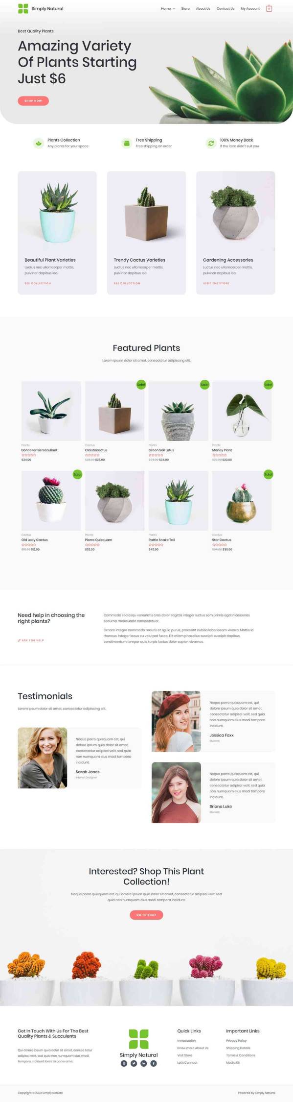 Creative Blog
